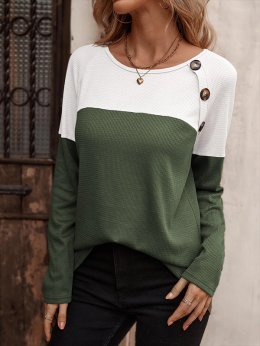 Damen Lässig Farbblock Herbst Mikro-Elastizität Täglich Jersey Standard Langarm Rundhals Blusen & Shirts