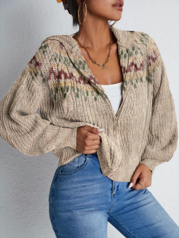 Damen Geometrisch Lässig Herbst V-Ausschnitt Standard Garn/Wollgarn Regelmäßig Mit Kapuze Mittlere Elastizität Pullover Mantel