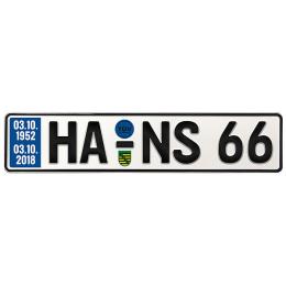 Geschenk zum 66. Geburtstag - Schild mit TÜV